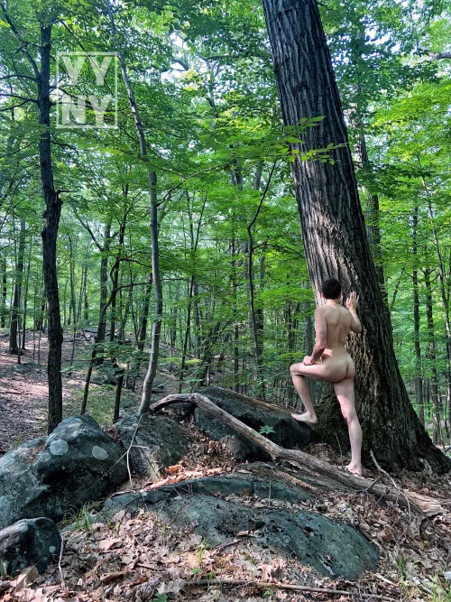 Who WOOD like to go hiking with me??