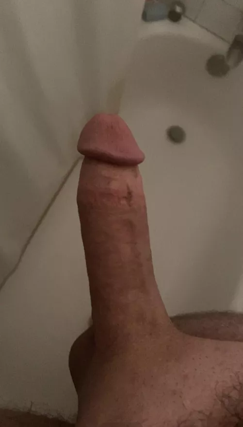 Would you suck this cock?
