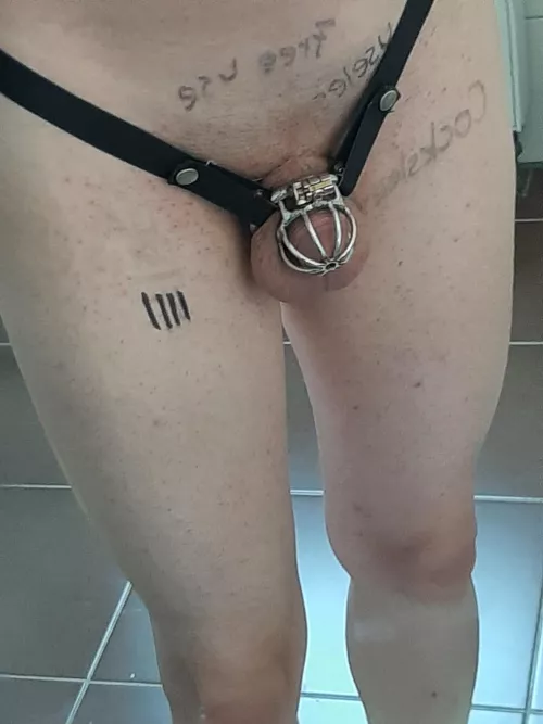 4 days my balls are full