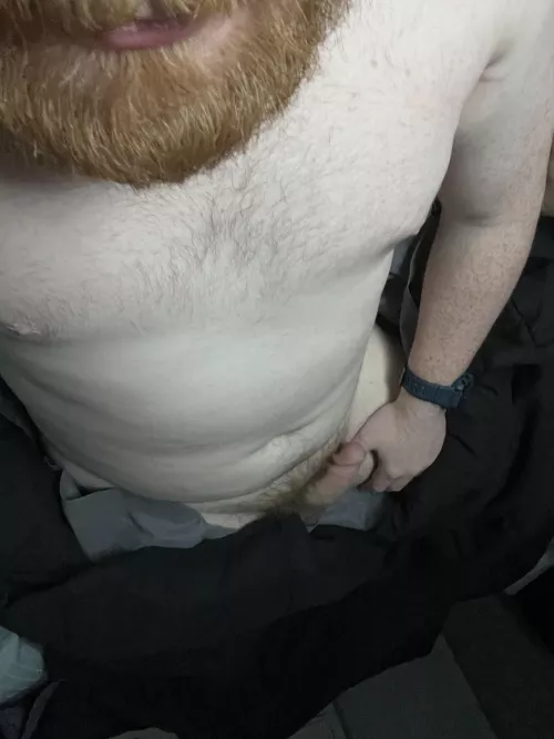 Do I qualify as a bear for you? [28]