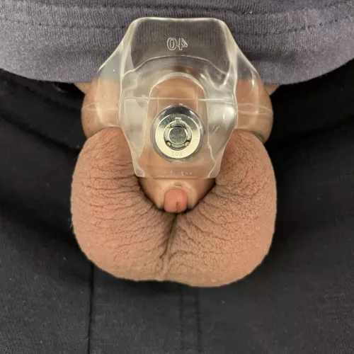 Do you think this cage fits me well?