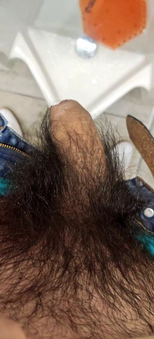 Hairy cock