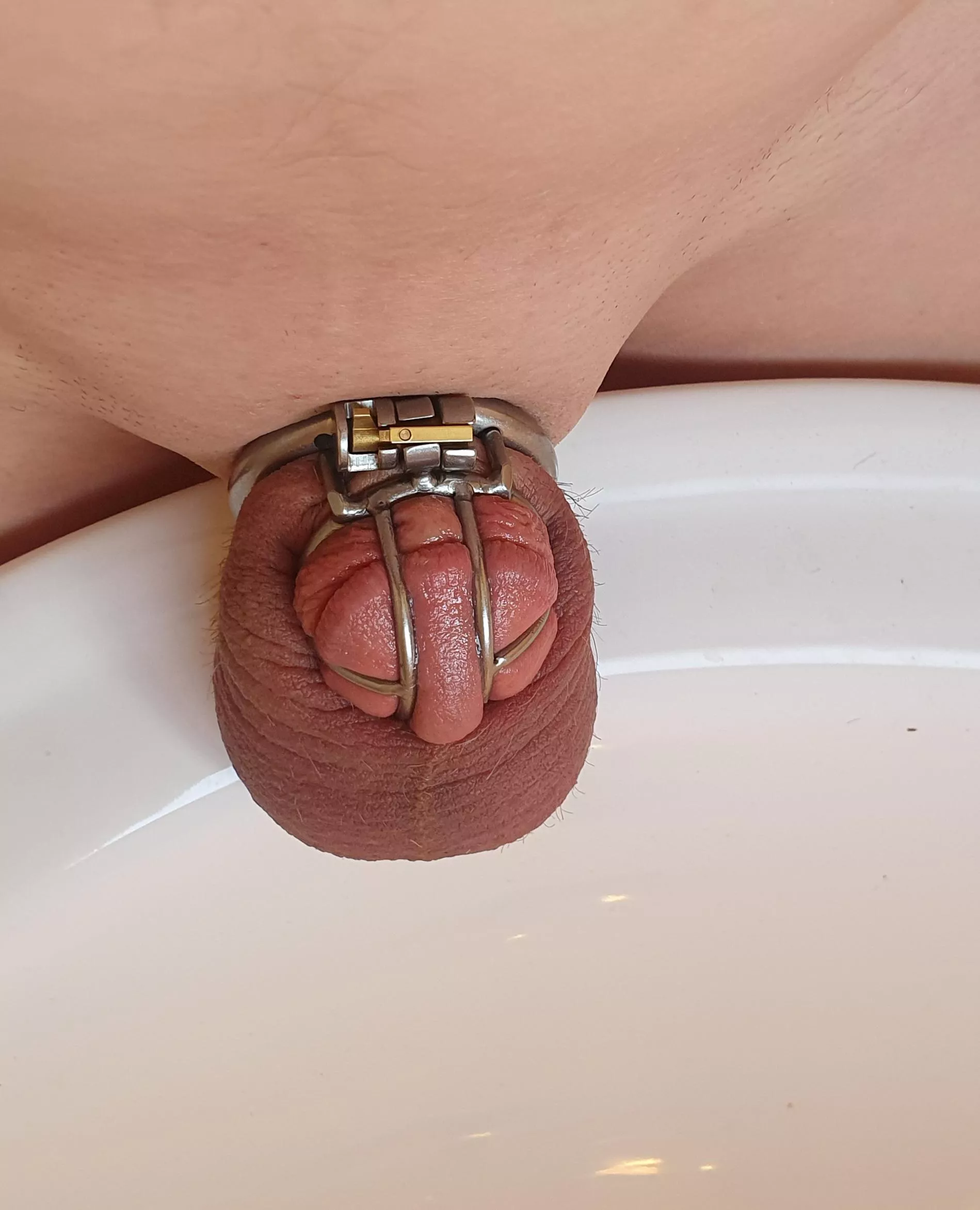 It's funny I've spent probably a thousand dollars on custom cages yet this cheap mass produced cage is by far my favourite