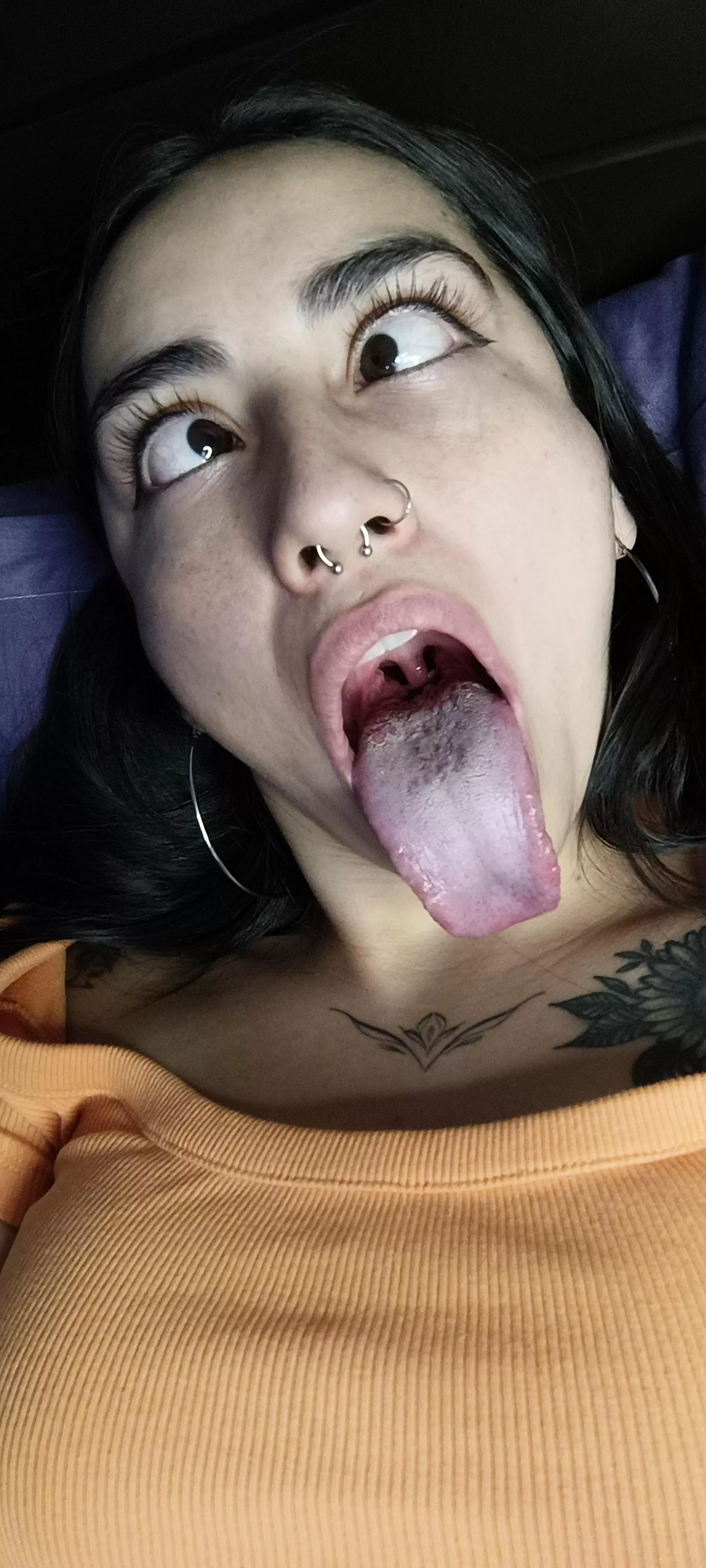 Little kitty is waiting for you on 💙🤍 check link in bio.