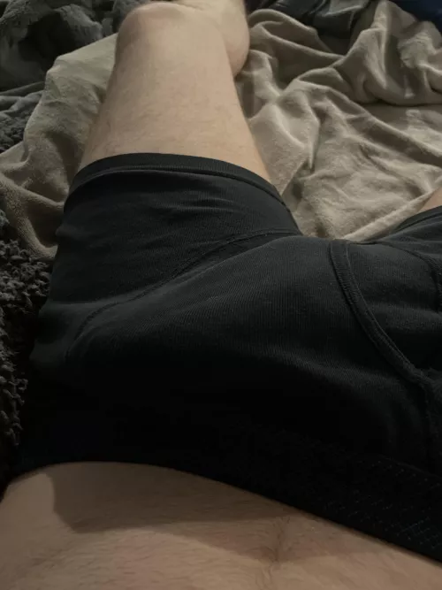 Morning wood bulge