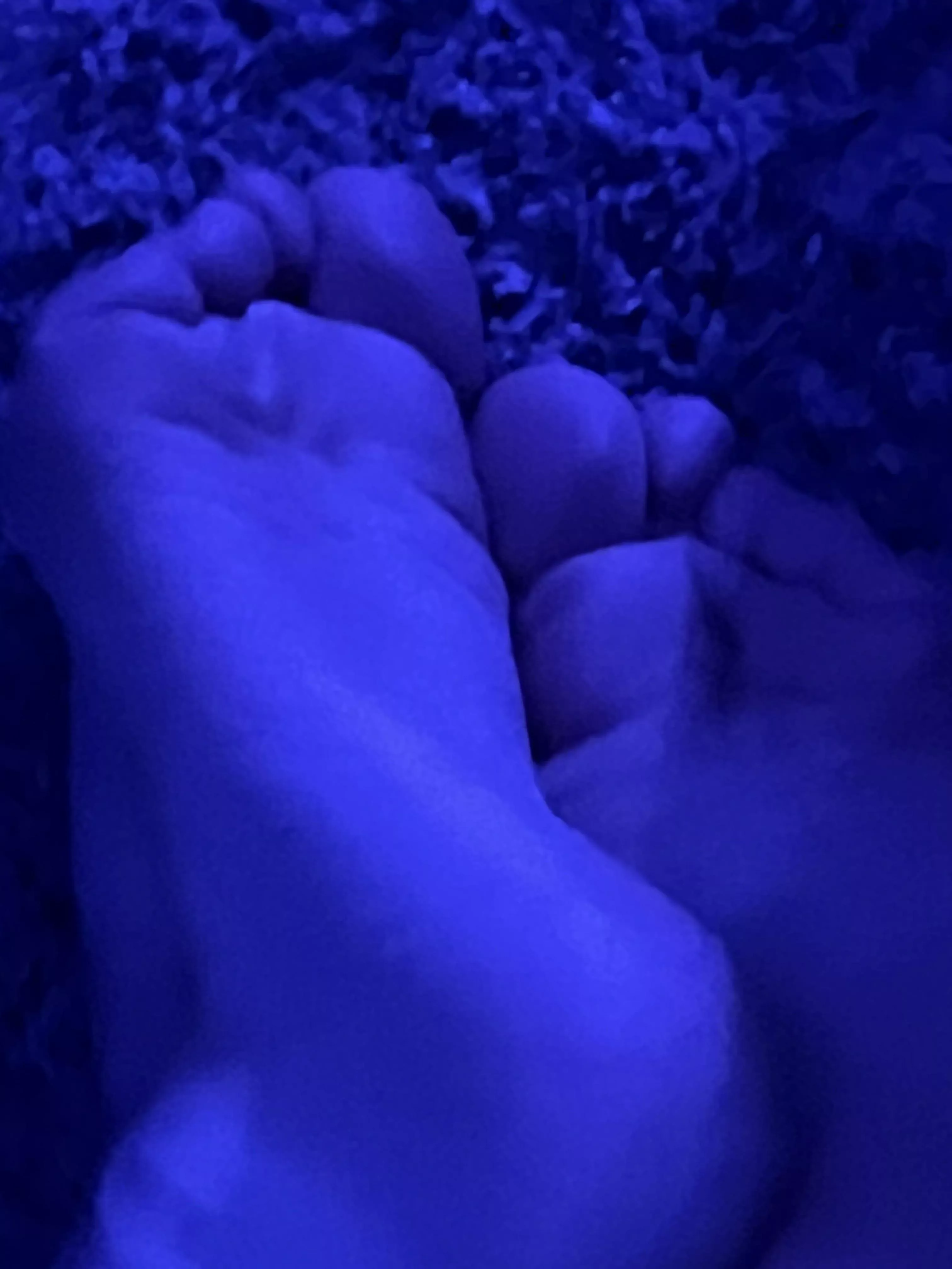 Pic I took while playing HOI4 :3