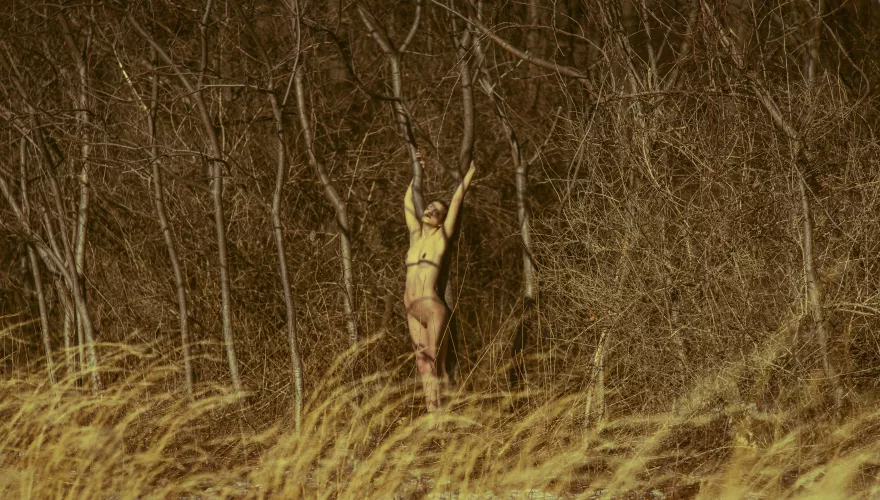 Secrets of the Sumac