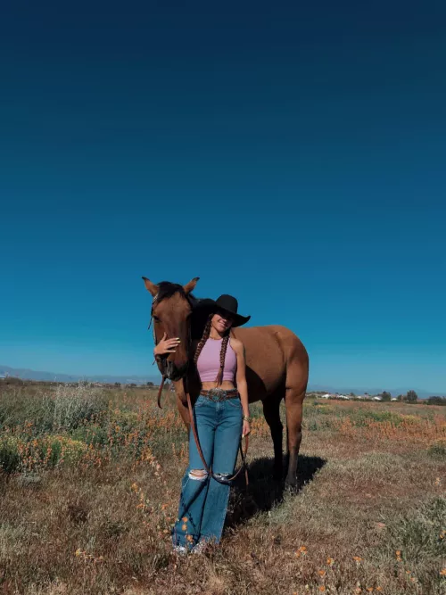 anyone need a horse girl ??