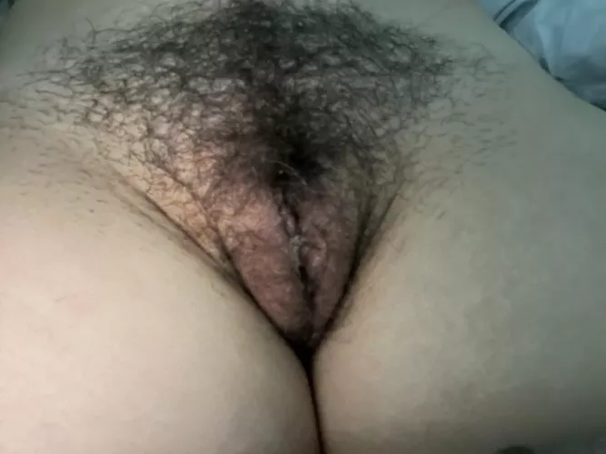 Do you like hairy fat pussy