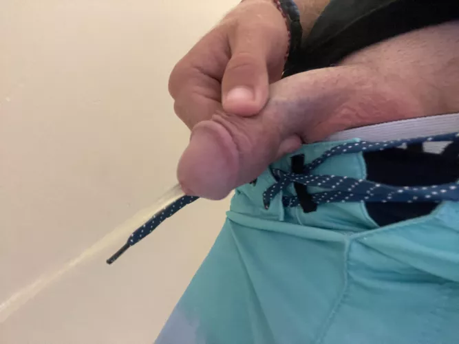 Early morning stream