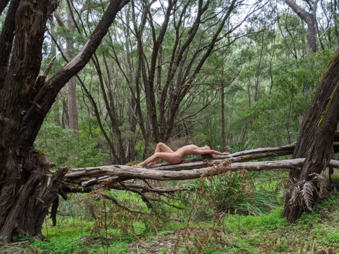 Embrace the fresh forest feel