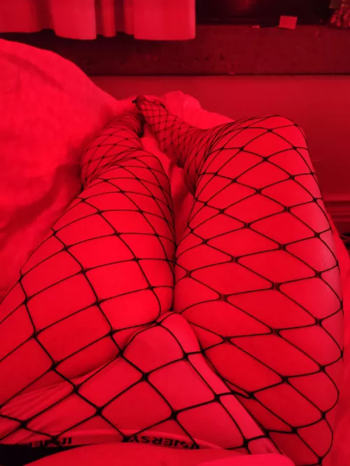 Feeling frisky in fishnets