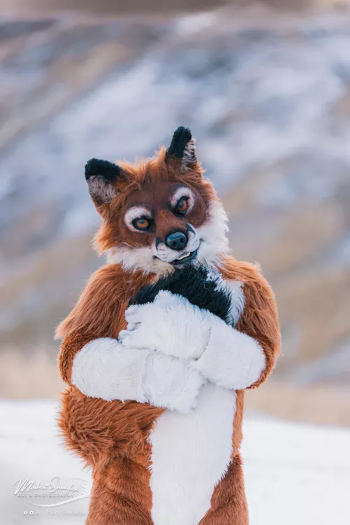 Fox just being a fox