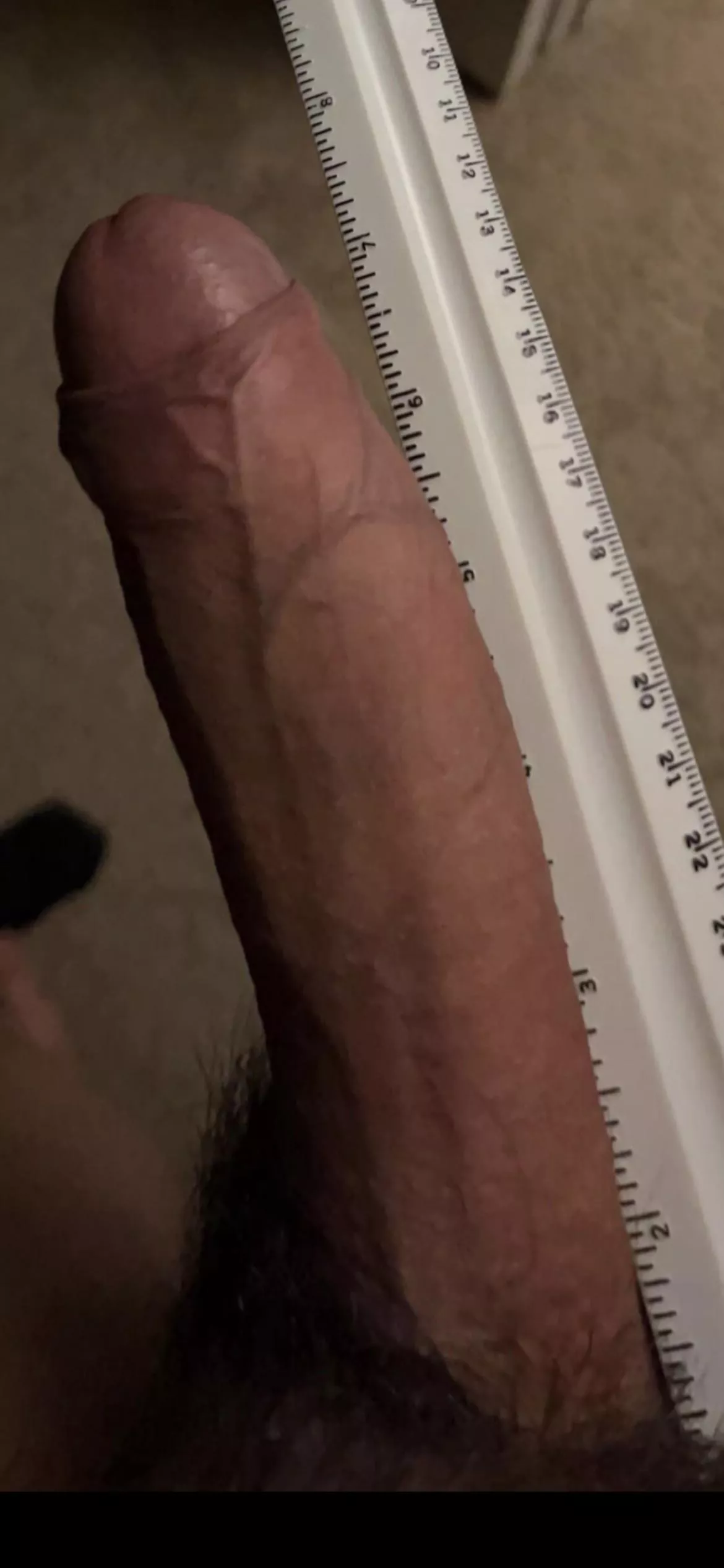i just want my cock to be stared at… i like to show off pm me i just want my cock to be stared at… i like to show off pm me