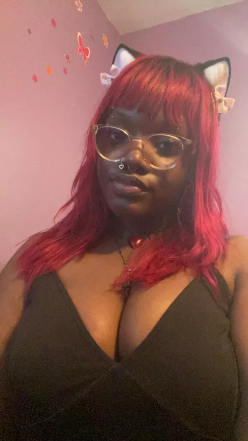 I love being a kitten