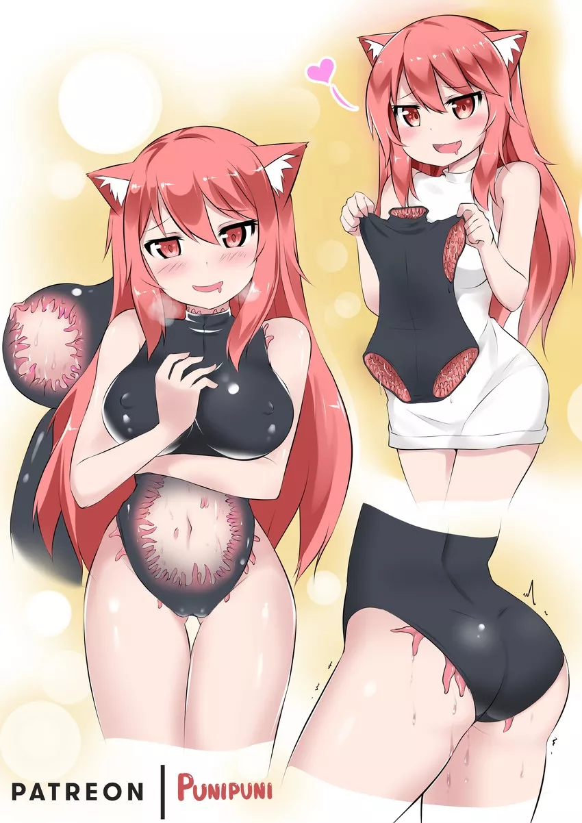 Kitten loves her new suit~