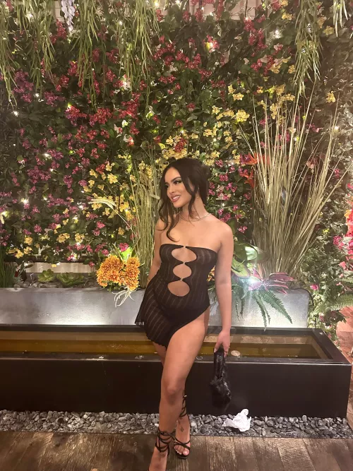 Mexican x Filipina x German x Native American