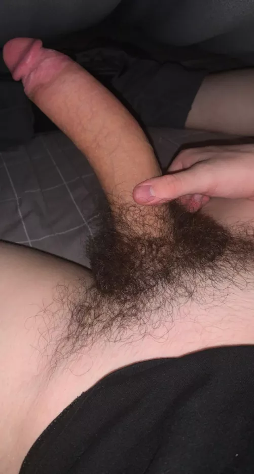 My bull wants me to shove a beta's head onto his cock 🤤