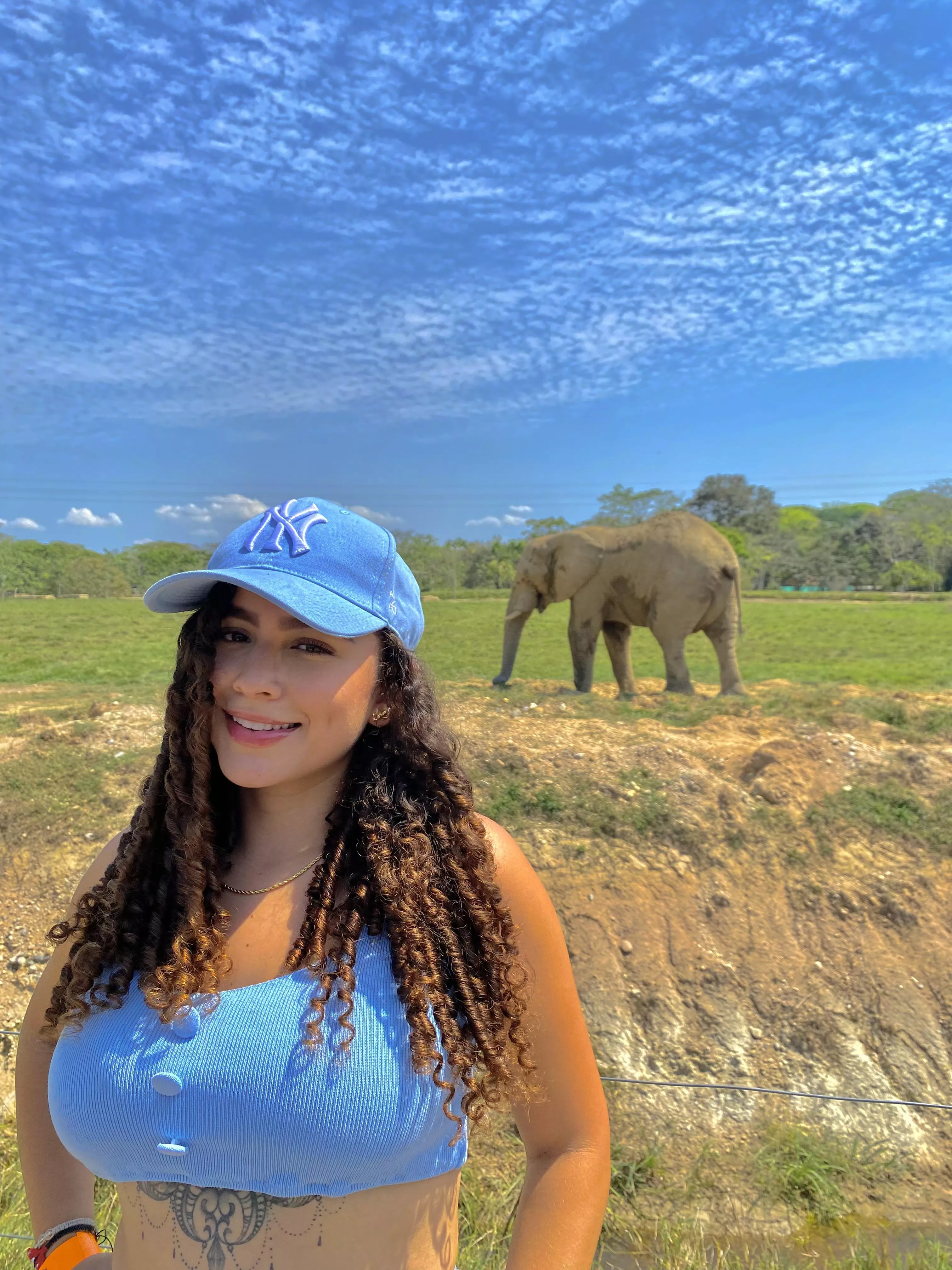 The elephant is definitely too big to hide