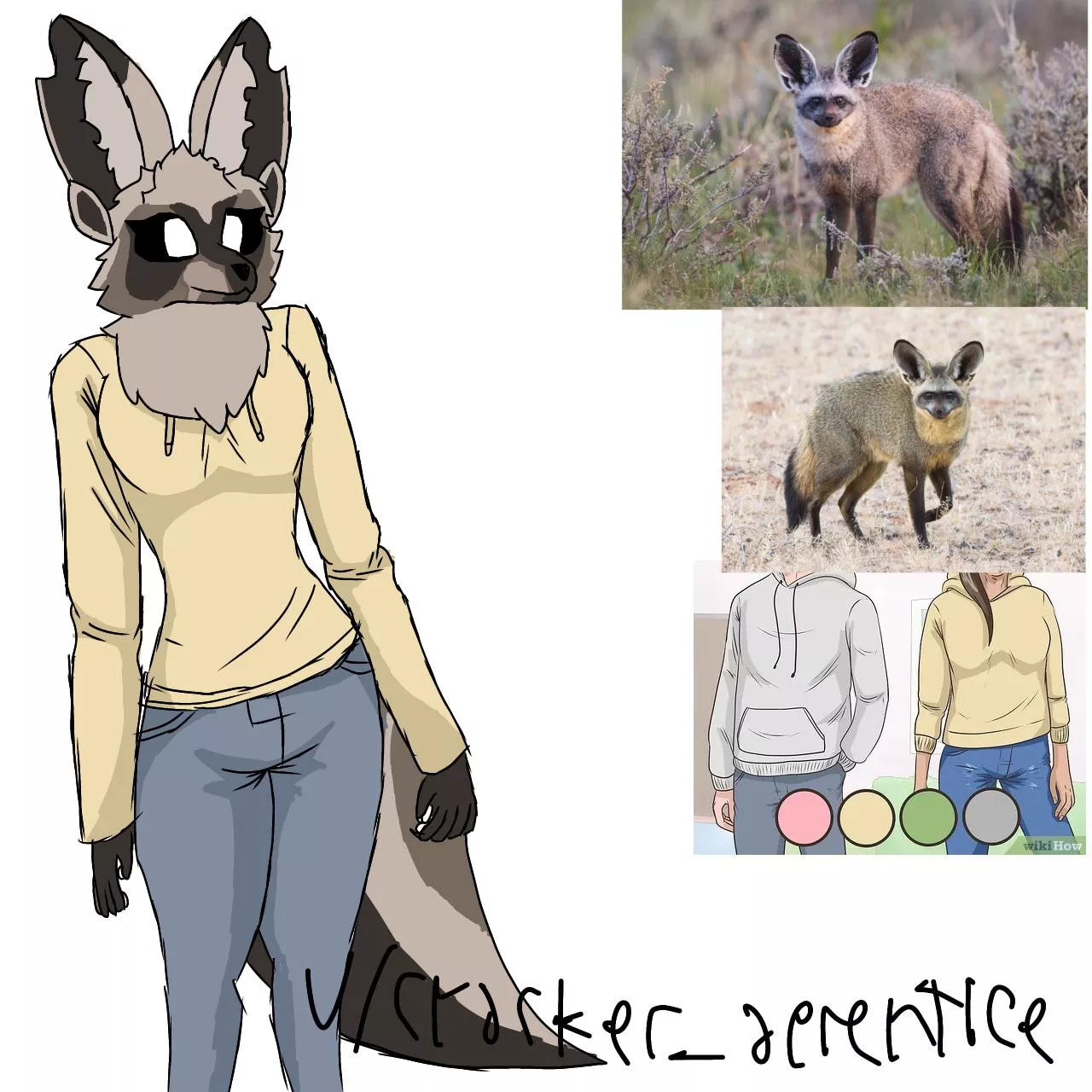 Bat-eared fox girl anyone?