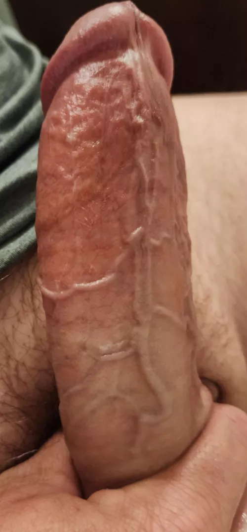 Do you like veins?