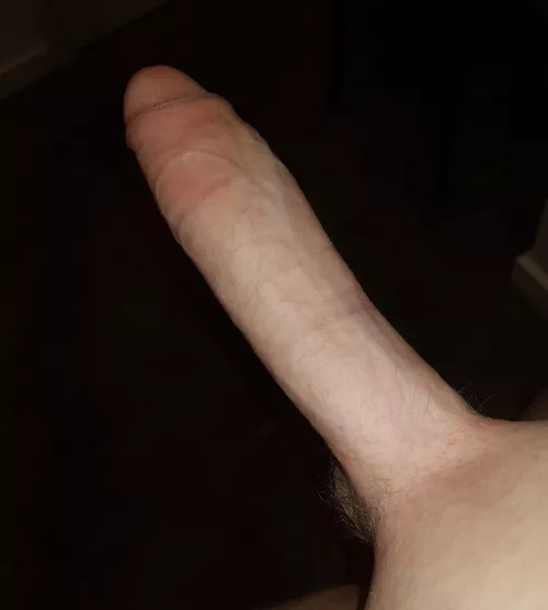 Do you like 🐴🍆