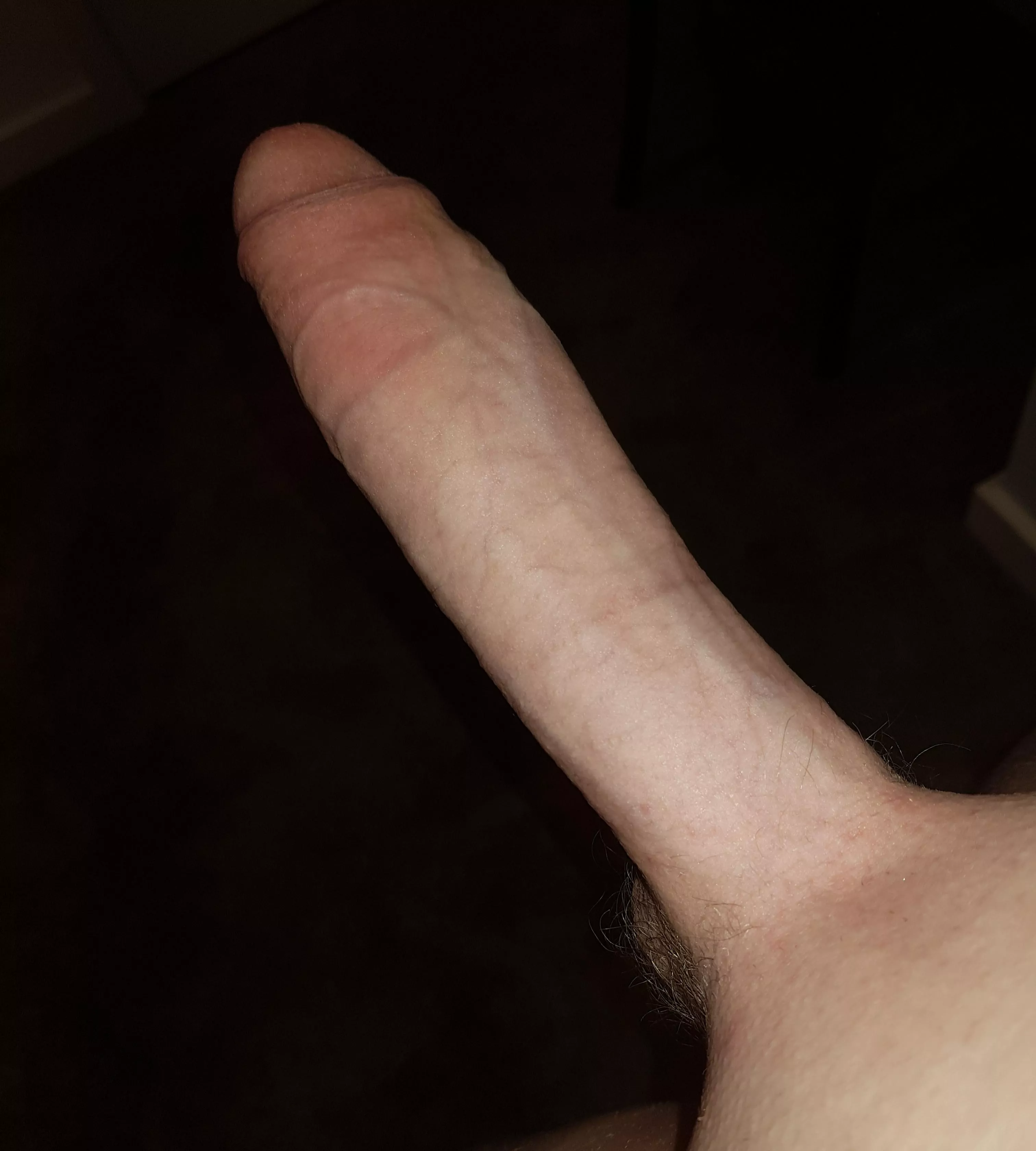 Do you like 🐴🍆