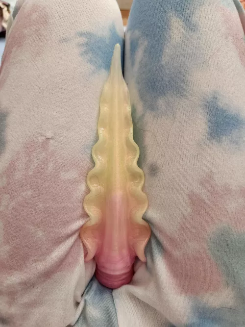 HPE Scylla arrived today!