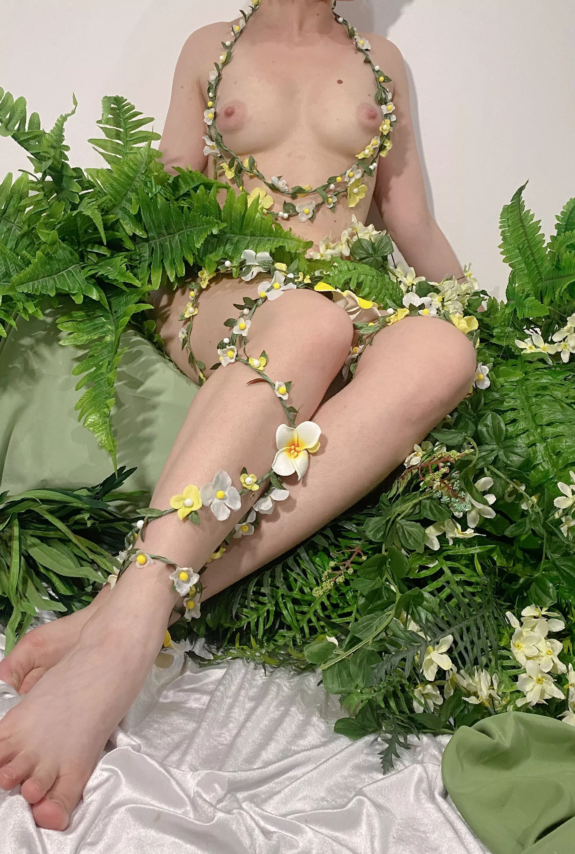 I am a wild kitty who wants to be tamed