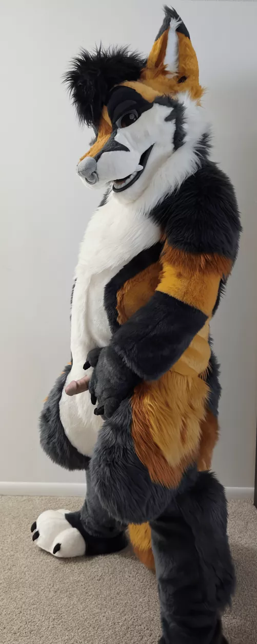 Someone asked to see the full suit. Well here he is!