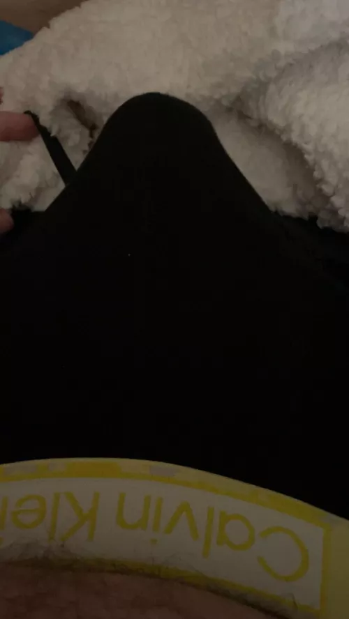 Tuesday morning bulge