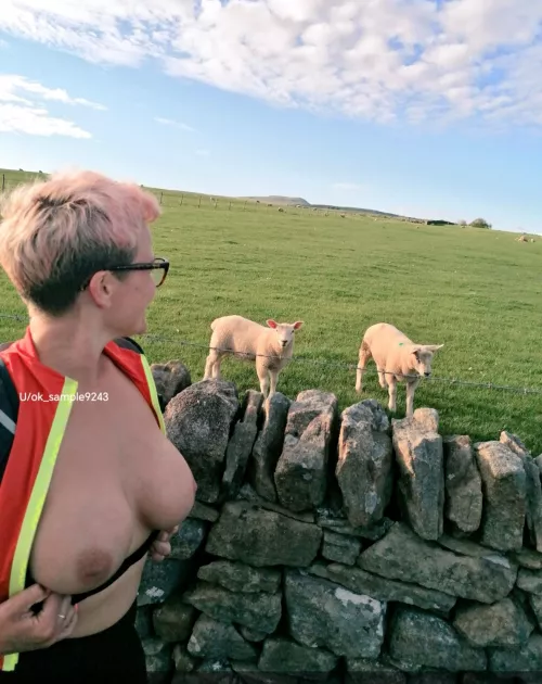 What a cute pair 😍😍 41 Female UK 💋💋🇬🇧