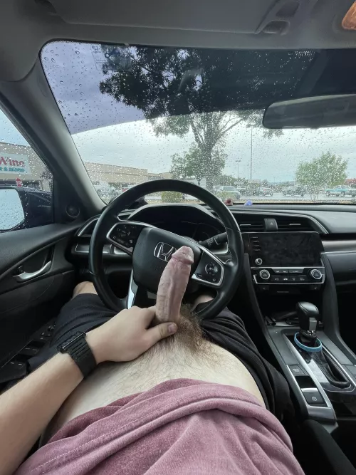 Who likes this bush?