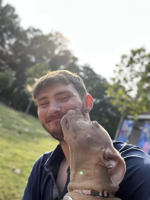 Will never understand why pit bulls get the reputation for violence