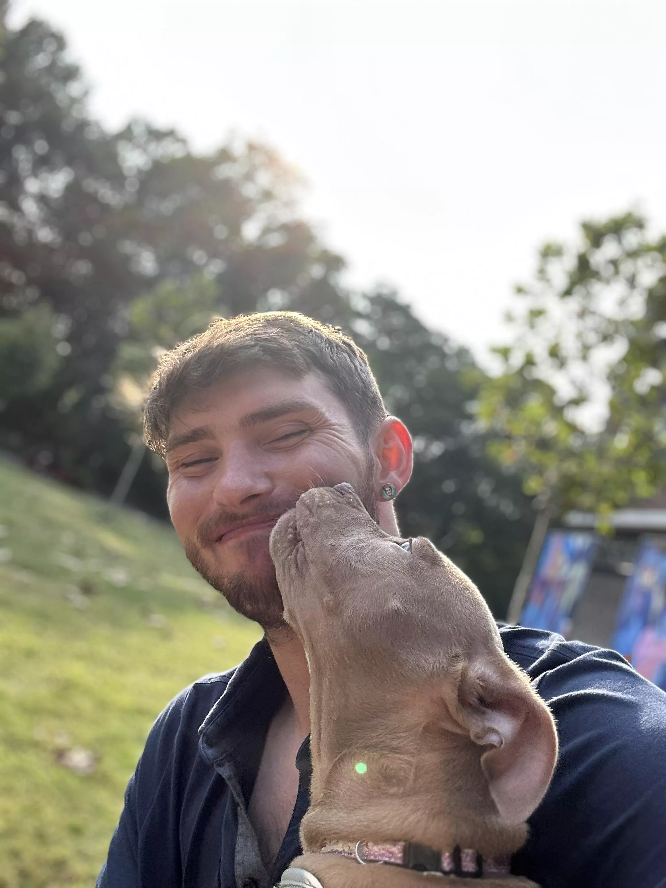 Will never understand why pit bulls get the reputation for violence