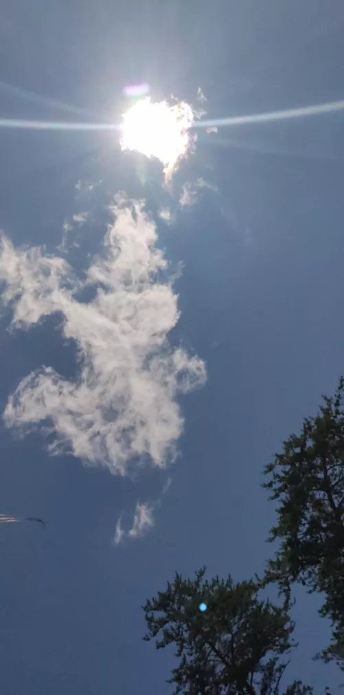 18 [m4m] [m4f] [m4t]Horny af looking for jerk of buddy maybe do a little more just dm me I’m in Fairfax I also drive