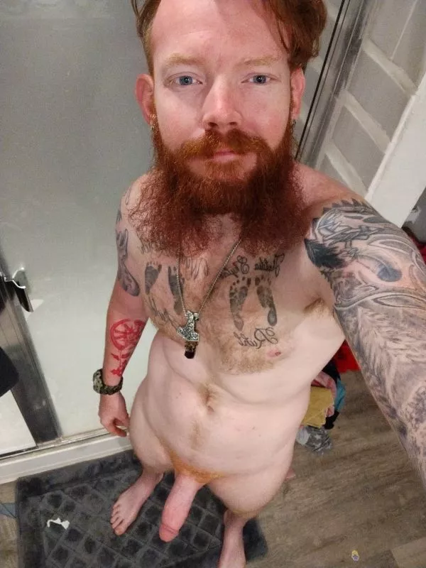 28 Bi Dom and Texas Ginger Viking Bull/Breeder