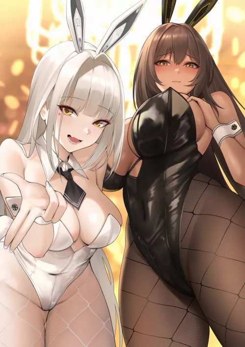 Bunny sisters [NIKKE]