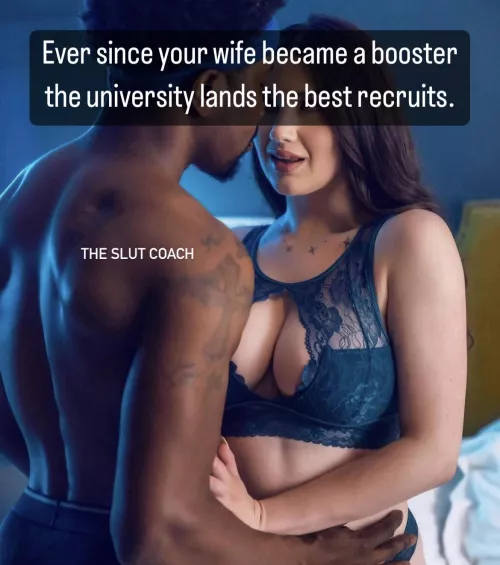 College Sports Back 😈