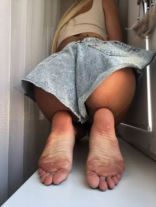 Come and experience the window sill magic.