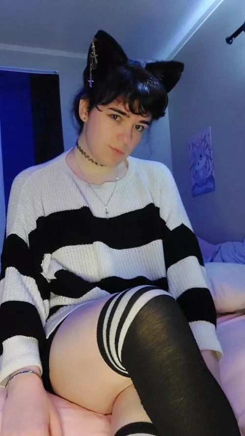 Does Reddit like Catfemboys?