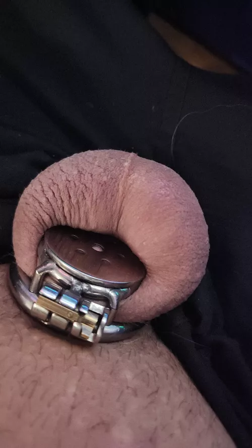 Flat cage for work so much better than a nub! Wish I could transition to a flat permanently faster