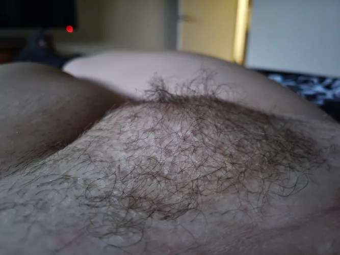 I can't believe how dark my bush looks in this lighting!