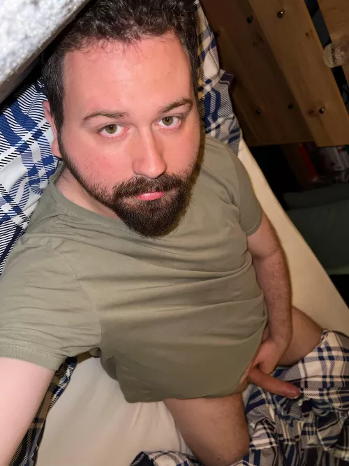 Just an average Scotsman