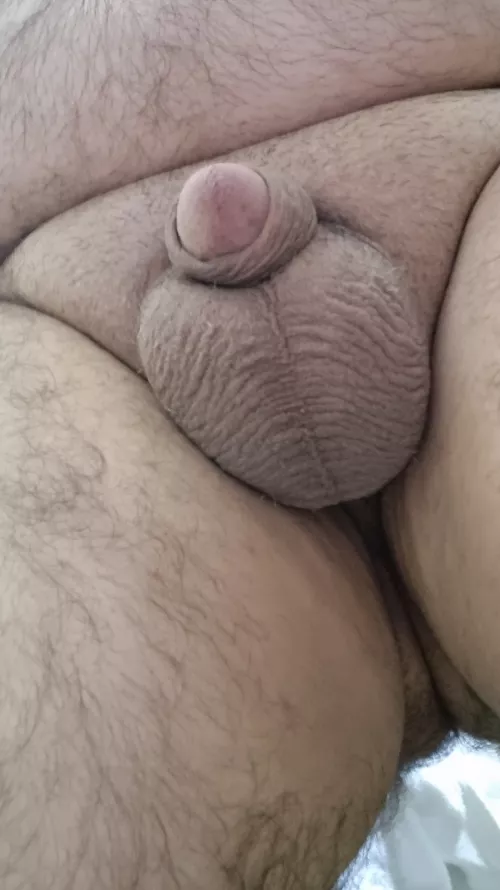 Large balls small boy