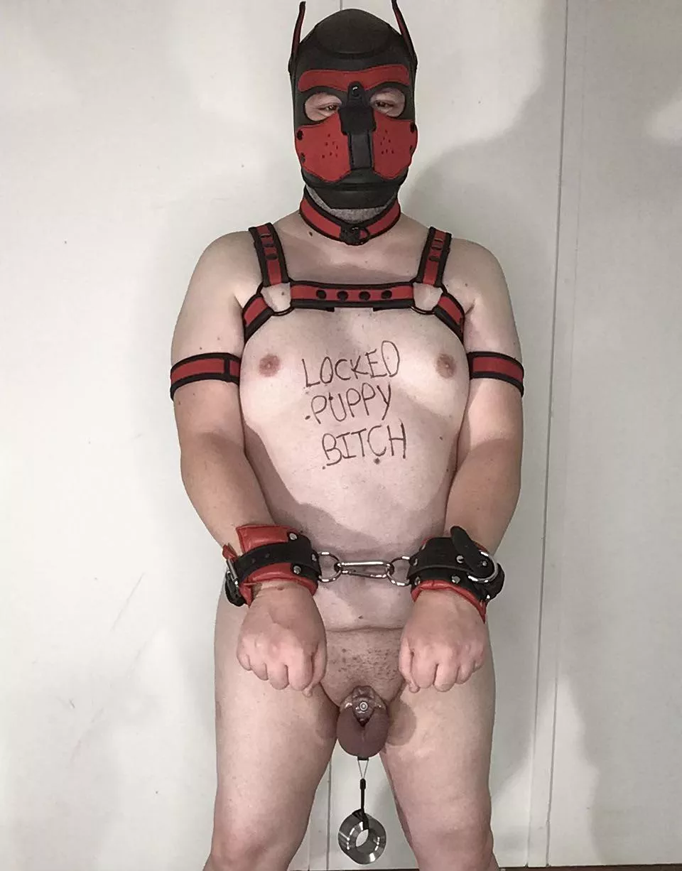 Locked for a week so far