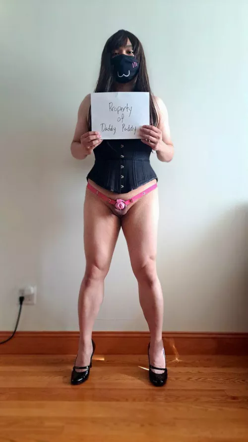 Started training a new sissy. We're going to have a lot of fun, my little Stephy.