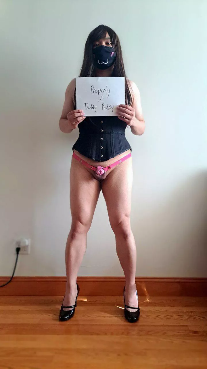 Started training a new sissy. We're going to have a lot of fun, my little Stephy.