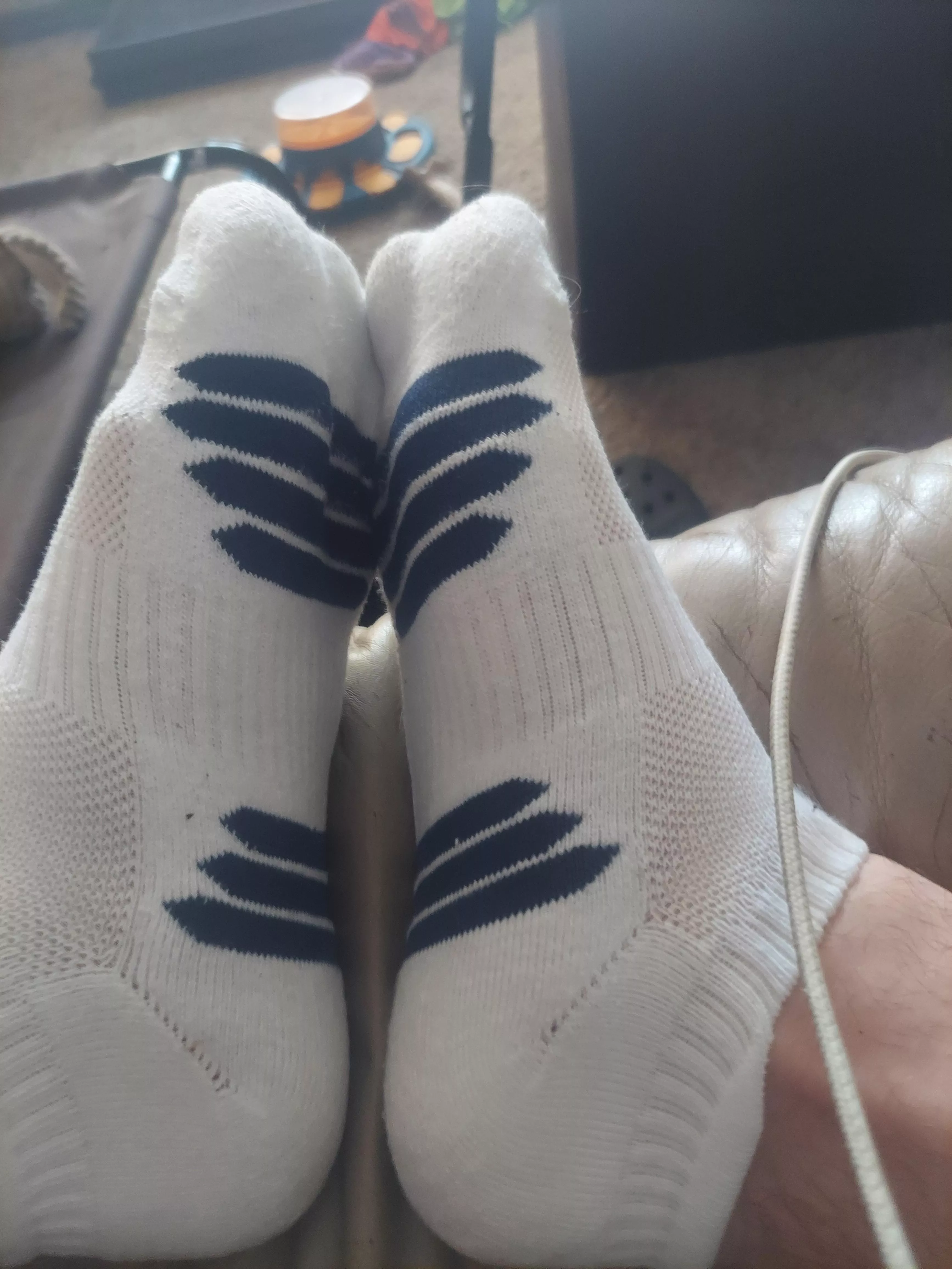 (T) new ankle socks