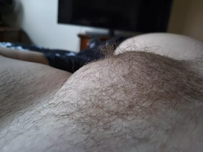 Well hey there, happy Tuesday darlin!